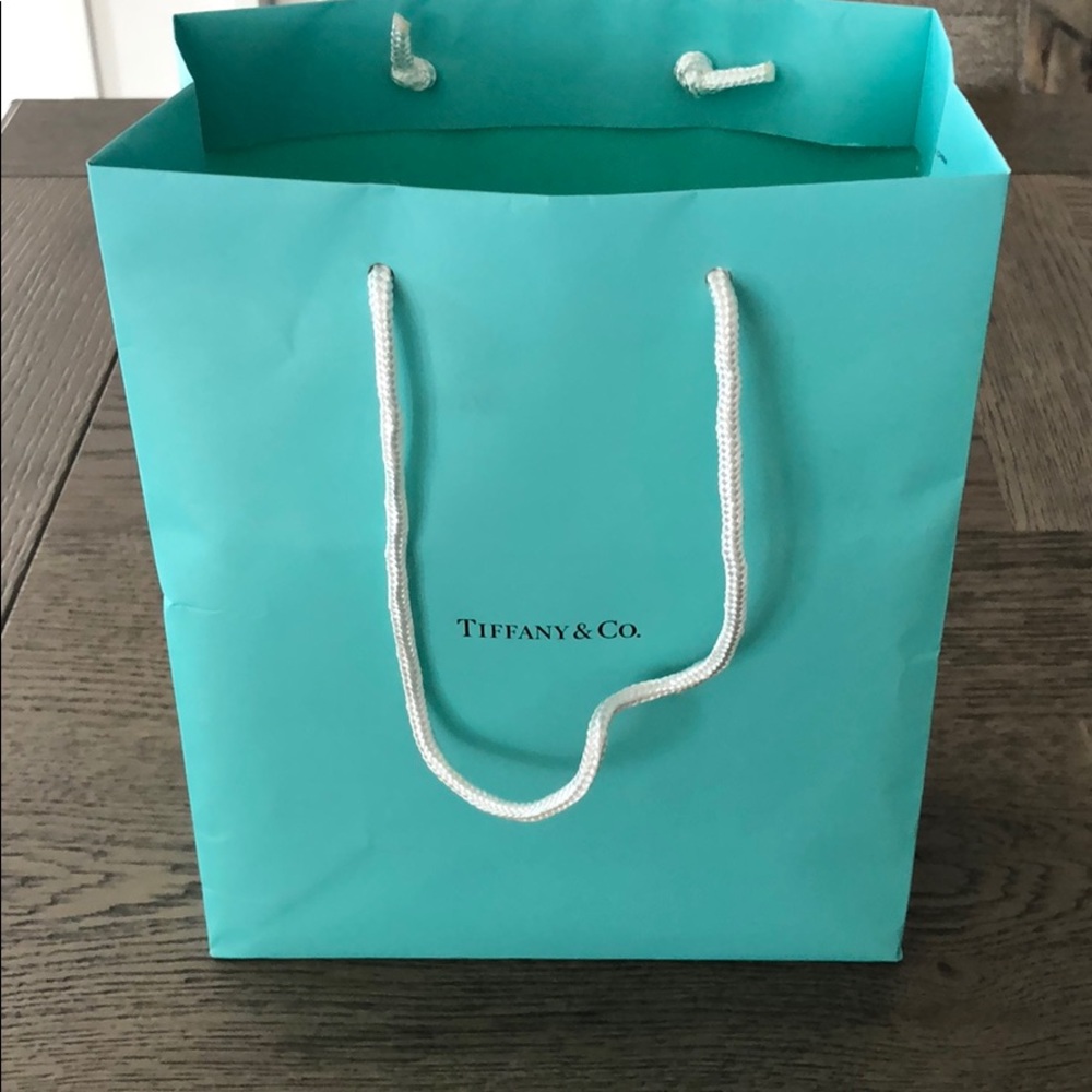 Tiffany & Co. Gift Bag